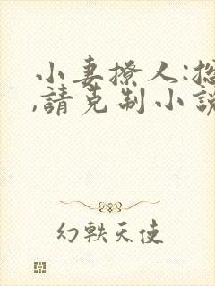 小妻撩人:总裁,请克制小说