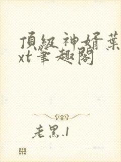 顶级神婿叶辰txt笔趣阁