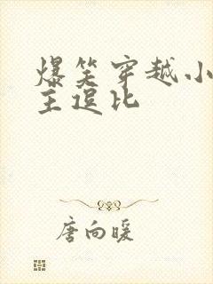 爆笑穿越小说女主逗比封面