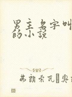 男主名字叫谢昀的小说