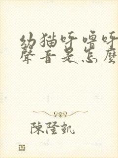 幼猫呼噜呼噜的声音是怎么回事封面