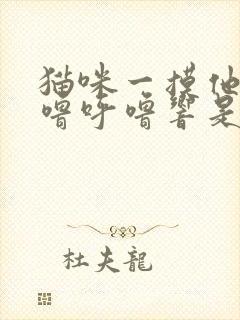 猫咪一摸他就呼噜呼噜响是怎么回事