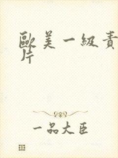 欧美一级责色大片封面