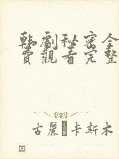 韩剧秘密全集免费观看完整版封面