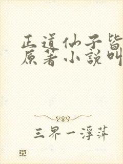 正道仙子皆为奴原著小说叫什么名字