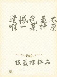 遗憾我并不是你唯一是什么歌