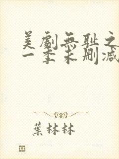 美剧无耻之徒第一季未删减版在线观看