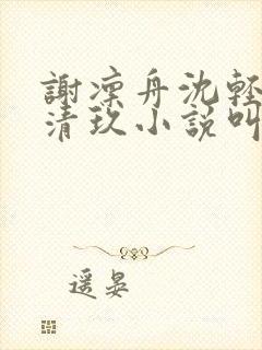 谢凛舟沈轻瑶顾清玖小说叫什么名字