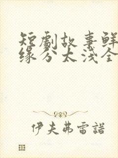 短剧故事鲜艳而缘分太浅全集封面