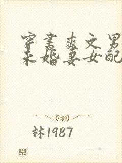 穿书爽文男主的未婚妻女配黑火焰