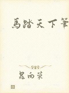 马踏天下笔趣阁
