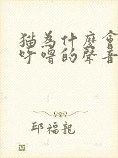 猫为什么会呼噜呼噜的声音呢