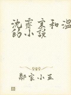 沈霁寒和温栀妍的小说