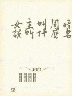 女主叫周晴的小说叫什么名字