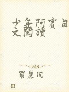 少年阿宾目录全文阅读封面