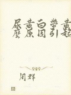 尿黄白带黄是什么原因引起的