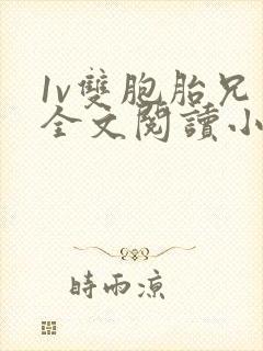 1v双胞胎兄弟全文阅读小说