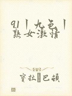 91丨九色丨老熟女激情