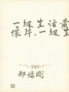 一级生活黄色录像片,一级生活黄色录像片