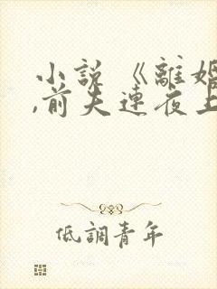 小说 《离婚后,前夫连夜上门求复婚》