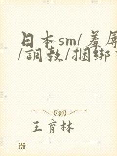 日本sm/羞辱/调教/捆绑视频封面