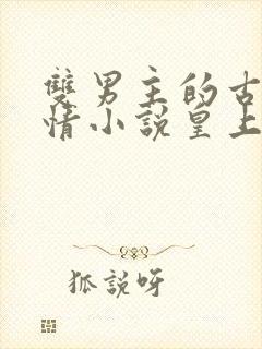 双男主的古代言情小说皇上和摄政王封面