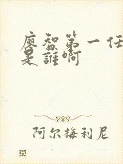 廖智第一任丈夫是谁啊