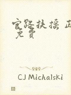 官路扶摇 正版 免费封面
