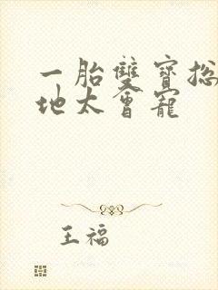 一胎双宝总裁爹地太会宠