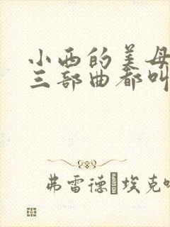 小西的美母教师三部曲都叫什么