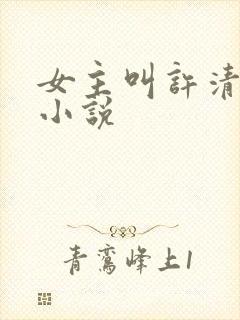 女主叫许清梦的小说