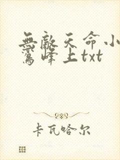 无敌天命小说青鸾峰上txt