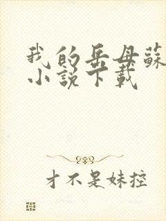 我的岳母苏沛真小说下载封面