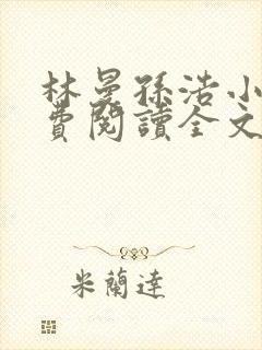 林曼孙浩小说免费阅读全文最新章节