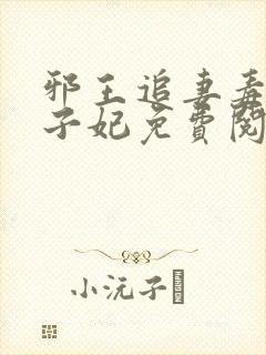 邪王追妻毒医世子妃免费阅读全文封面