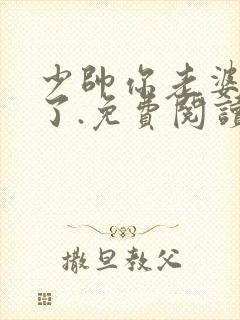 少帅你老婆又跑了.免费阅读