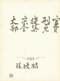 大宋提刑官第二部全集免费观看电视剧