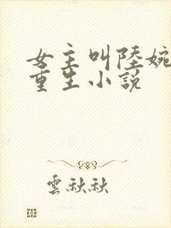 女主叫陆婉婉的重生小说