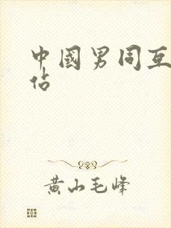 中国男同互操网站