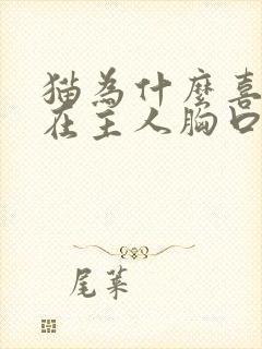 猫为什么喜欢睡在主人胸口