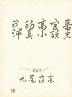 我的高官岳母苏沛真小说免费阅读