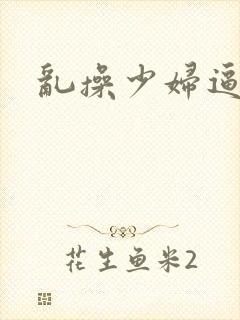 乱操少妇逼小说