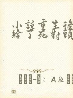 小说重生后我嫁给了死对头