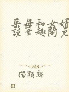 岳母和女婿的小说笔趣阁免费阅读