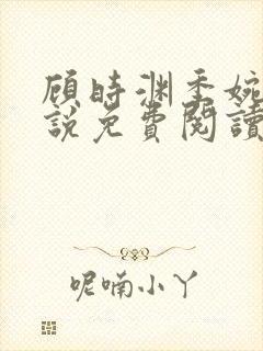 顾时渊季婉婷小说免费阅读最新章节