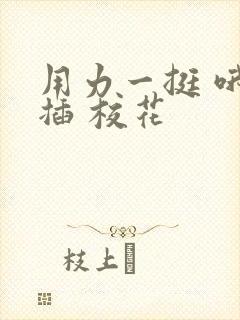 用力一挺 哦 插 校花