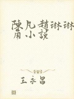 陈凡赵琳琳的主角小说