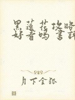 黑莲花攻略手册好看吗 书评