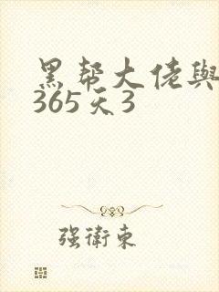 黑帮大佬与我的365天3