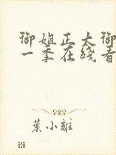 御姐正太御姐第一季在线看全集封面